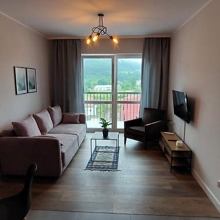 Apartamenty W Bieszczadach اوسترزوكي دولن المظهر الخارجي الصورة