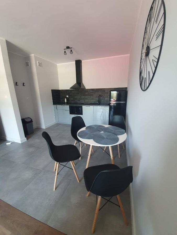 Apartamenty W Bieszczadach اوسترزوكي دولن المظهر الخارجي الصورة